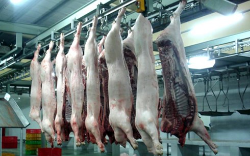 Cơ quan thú y các địa phương chỉ thu 2 loại phí về công tác kiểm dịch và kiểm soát giết mổ lợn.